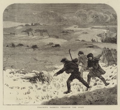 Seguendo i conigli nella neve da Harrison William Weir